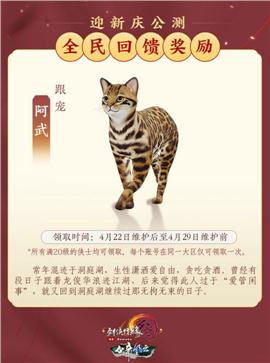 散不天龙八部私服